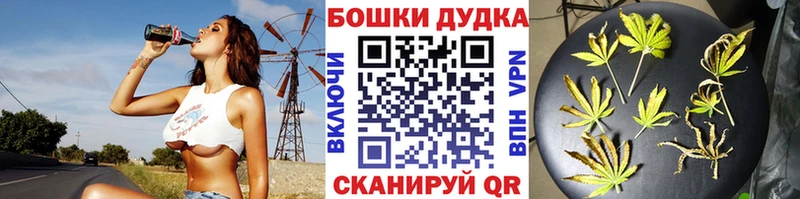 Купить закладку Канабис  Кокаин  Меф  Новозыбков