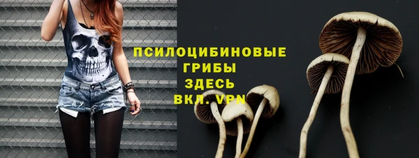 герыч Зеленодольск