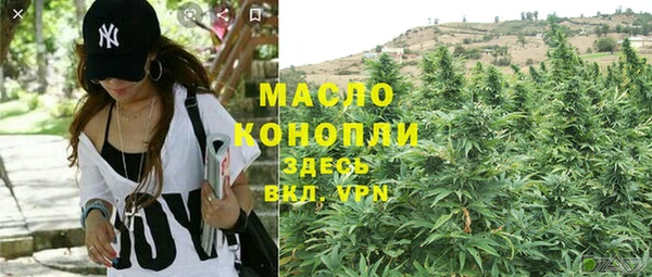 гидра Зеленокумск