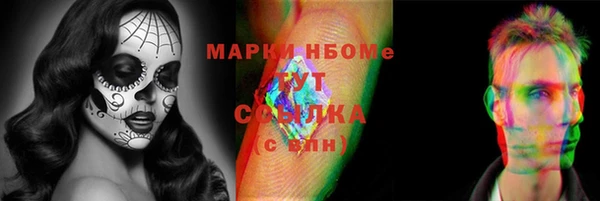 гидра Зеленокумск