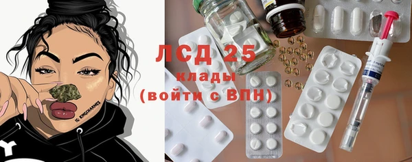 гидра Зеленокумск