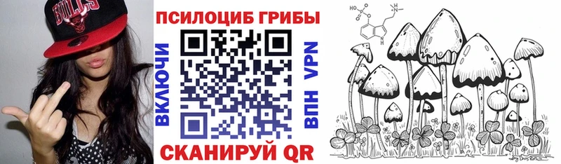 Купить закладки  Новозыбков  Псилоцибиновые грибы GOLDEN TEACHER 